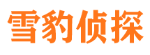 带岭市婚姻出轨调查